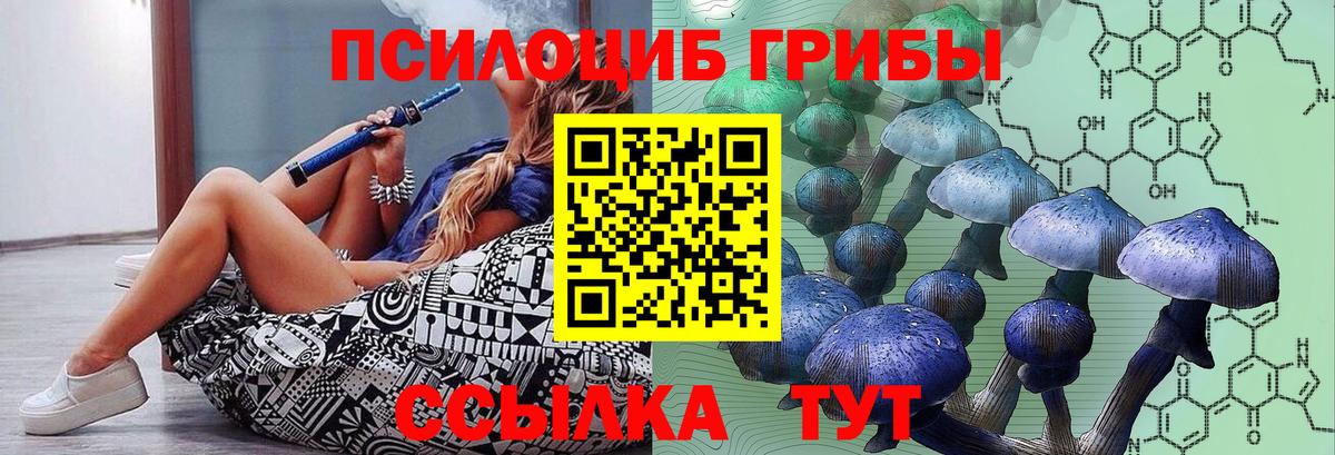 Галлюциногенные грибы мицелий Шелехов
